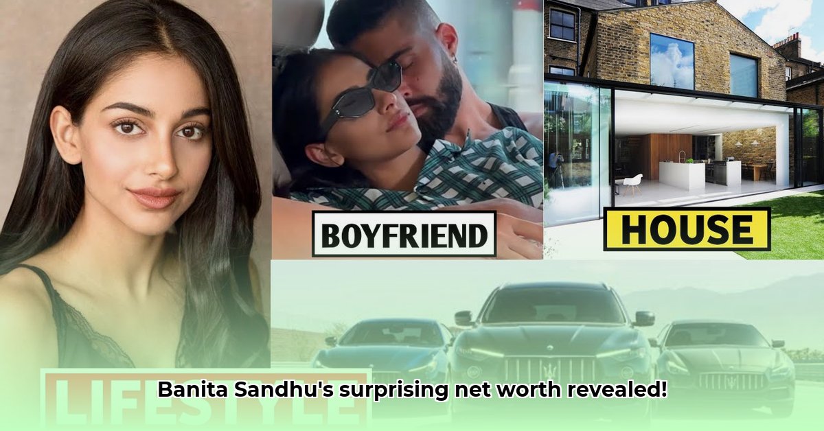 banita-sandhu-net-worth